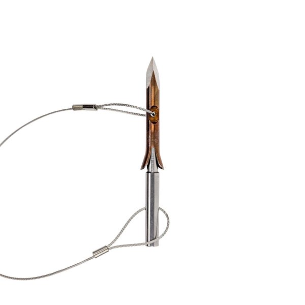 JBL Spearguns - 3
