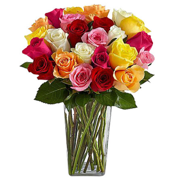 ProFlowers 2 Dozen Rainbow Roses with Square Glass Vase Military