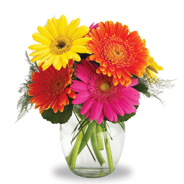 Phillip's Flowers - Gerbera Daisies Vase - Discounts for Veterans, VA ...