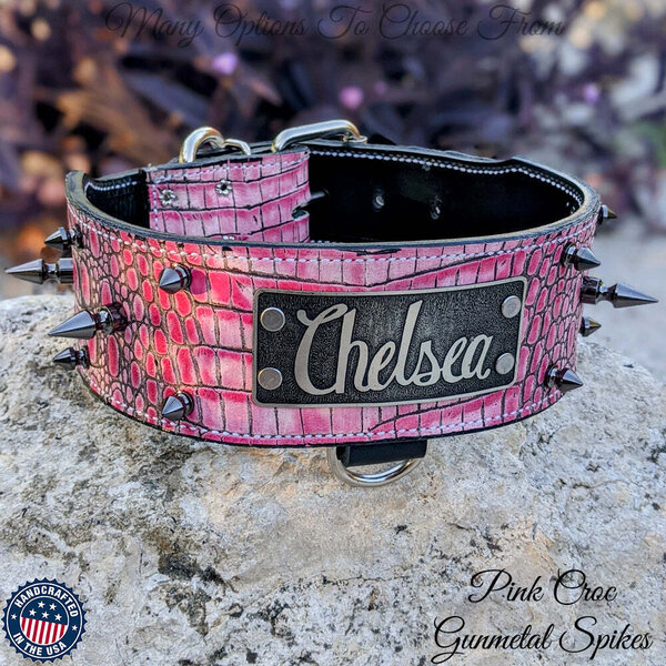 Pit Bull Gear NJ2 2 1/2" Name Plate Spiked Collar Military