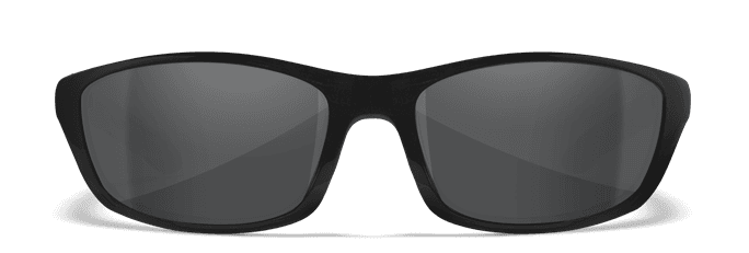 Wiley X - P-17 Glasses Military Discount | GovX