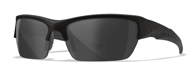 Ansi polarized sunglasses sales