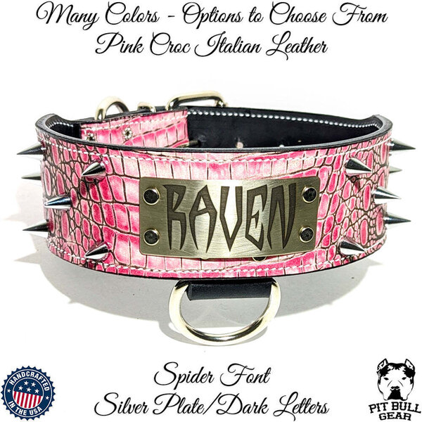 Pit Bull Gear Spiked Leather Dog Collar Personalized Nameplate 2.5