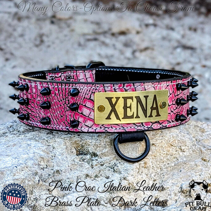 Custom spiked 2024 dog collars