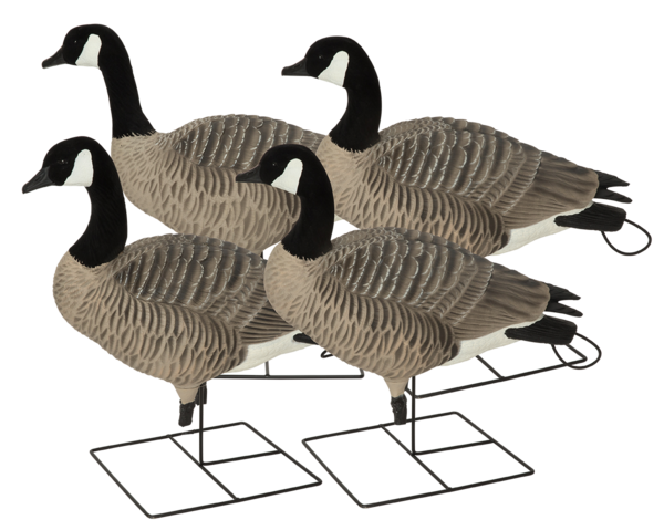 Banded - GHG XD Series Full-Body Honkers - Active (4-Pack) - Military ...