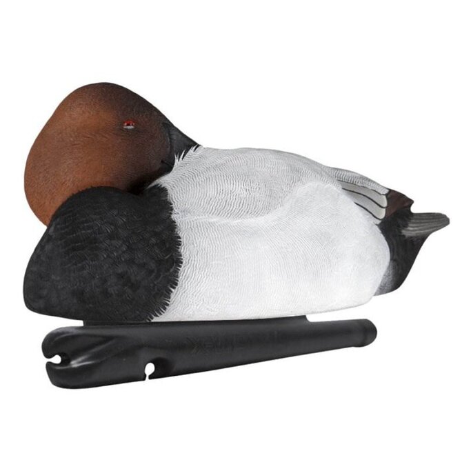 Avian-X - Topflight Canvasback Duck Decoys 6 Pack - Military & Gov