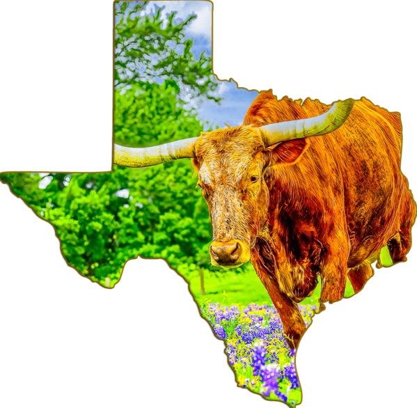 Does Longhorn Have Senior Discounts Does Longhorn Have Senior Discounts