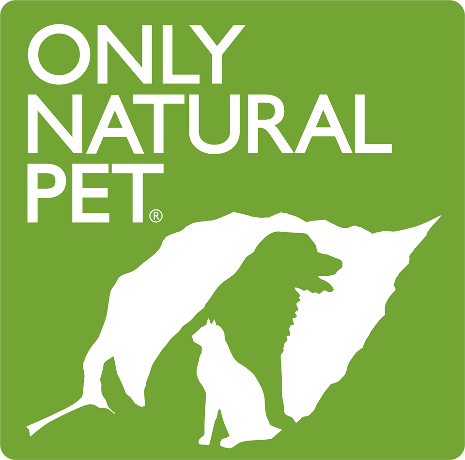 medium sized dogs friendly