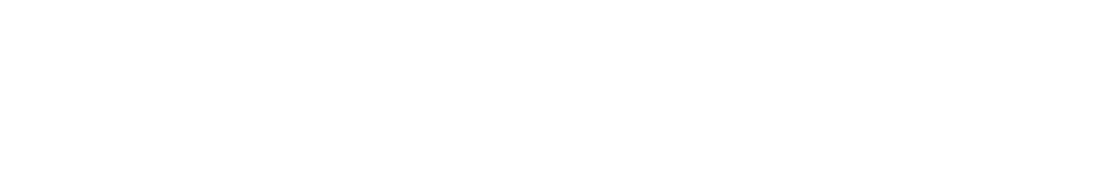 GovX ID