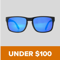 UNDER $100